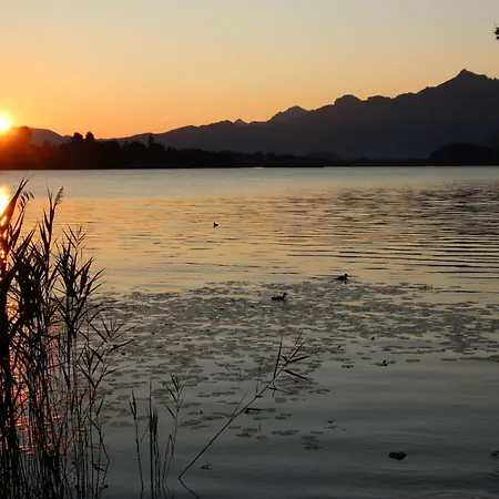 アパート Bergblick *