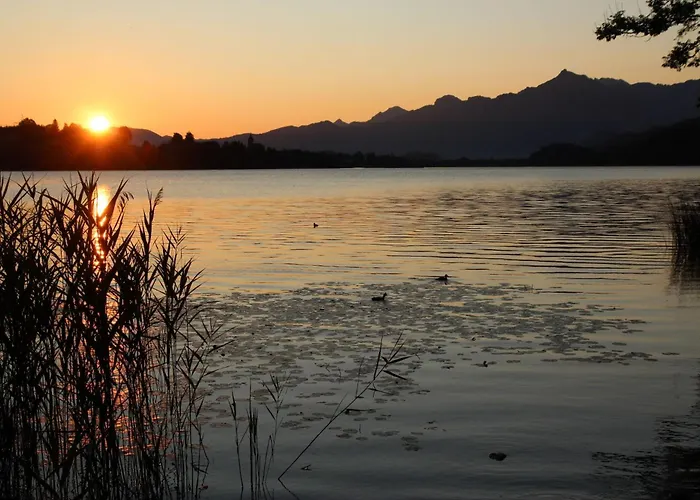 Apartment Bergblick *